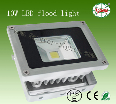 10W LED flood Light
