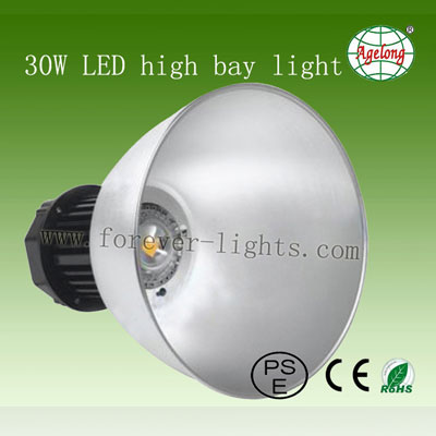 30W LED High Bay Light 40°
