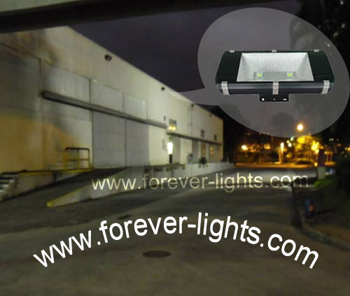Brazil,100W LED flood lights used for chemical factory lighting